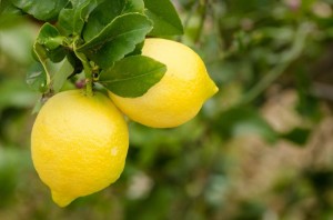 foto-limoni